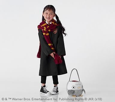 Gryffindor costume
