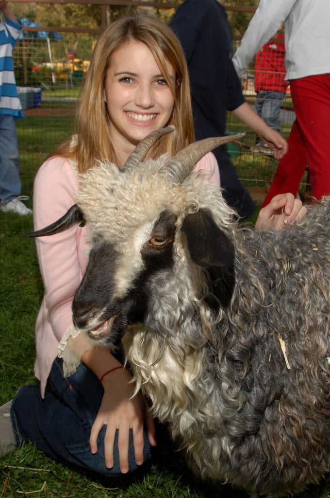 2006