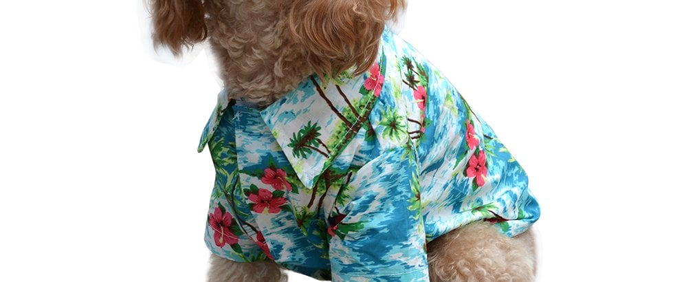 Hawaiian Shirt For Dogs on Amazon