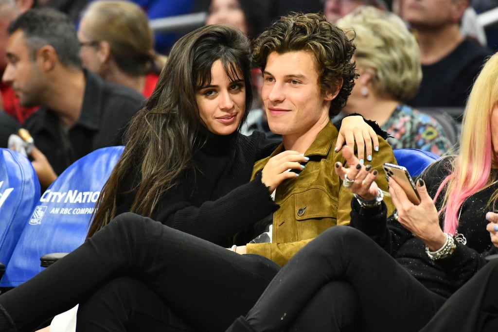 Camila Cabello and Shawn Mendes Kissing at LA Clippers Game