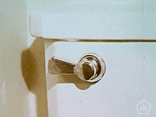 I use my foot to flush.