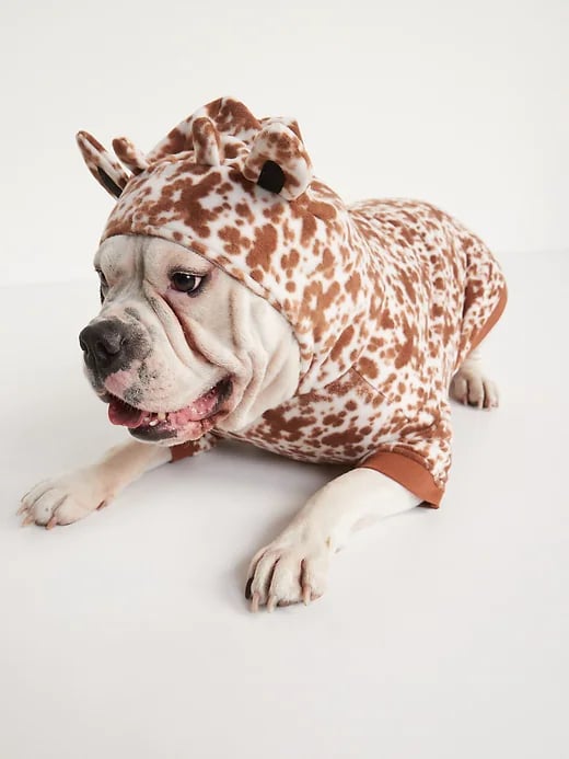 Old Navy Dog Clothes and Sweaters POPSUGAR Pets
