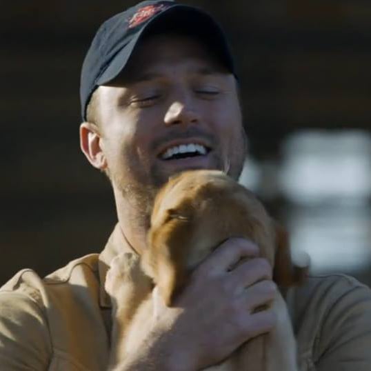 Who Is the Budweiser Puppy Love Guy?