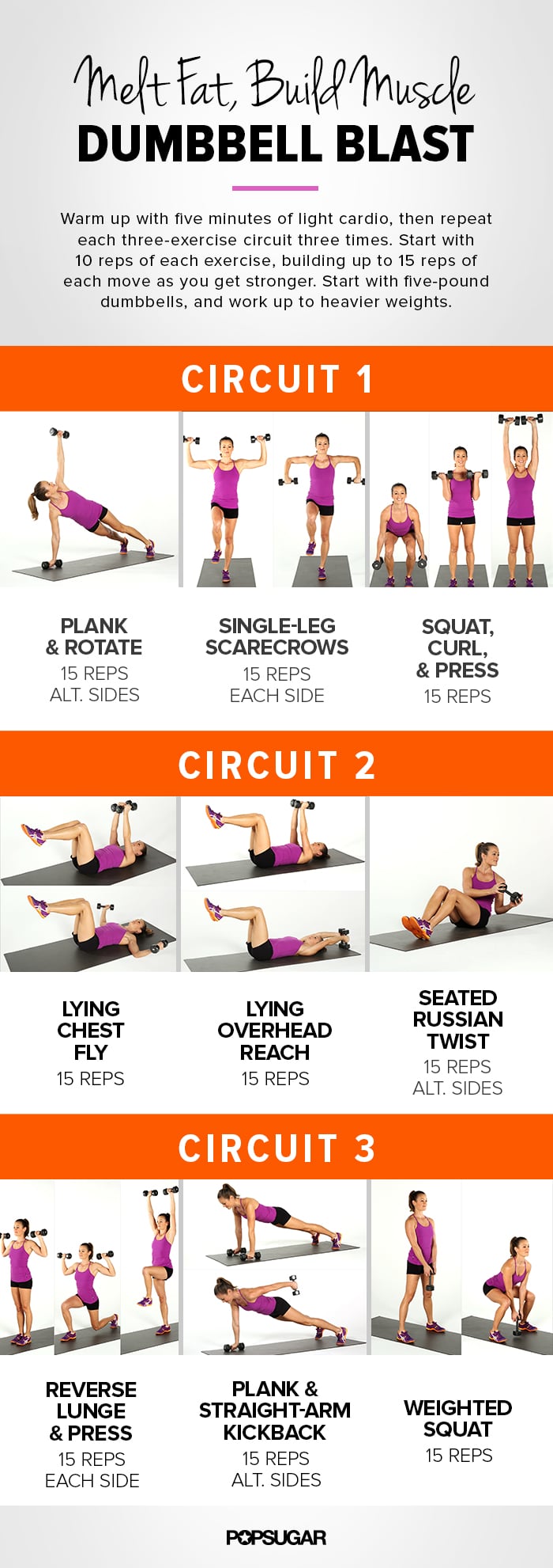 Full-Body Circuit Workout Poster