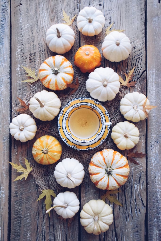 Fall Background: Colorful Gourds iPhone Wallpaper