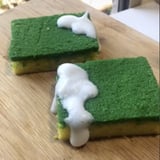 Dish Sponge Cake TikTok Video