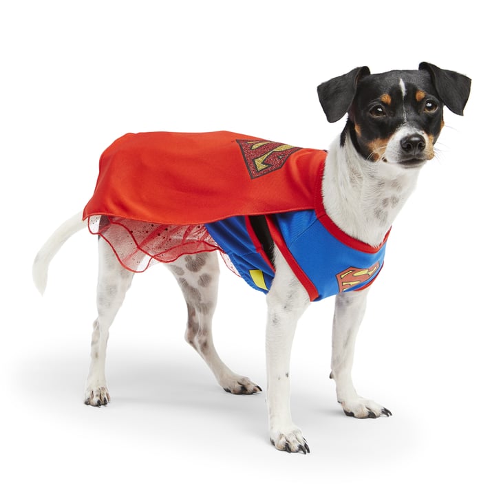 Supergirl | Superhero Costumes For Dogs | POPSUGAR Pets Photo 11