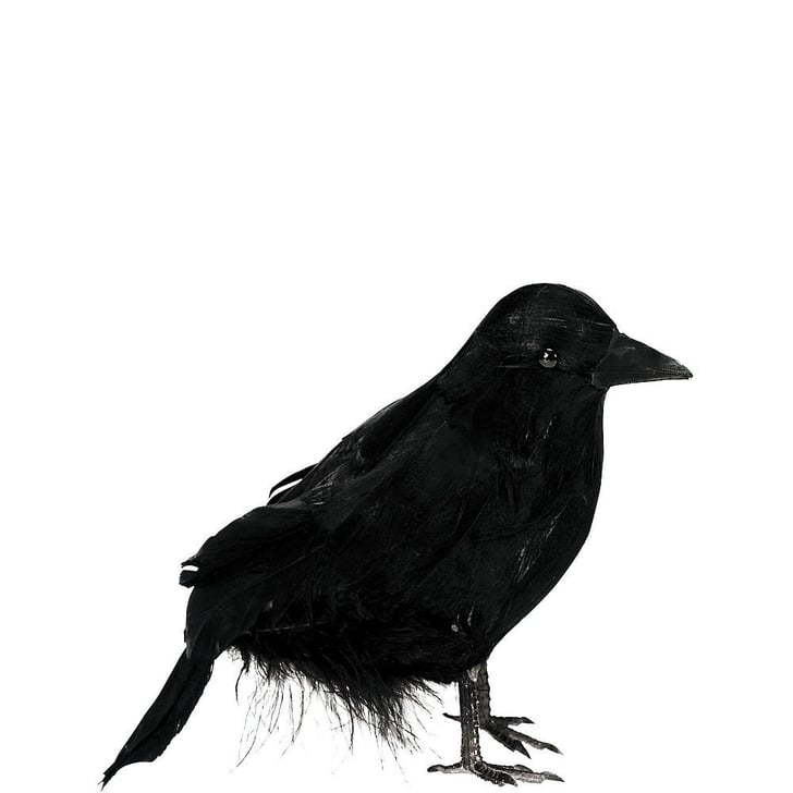 Black Raven | Best Halloween Decorations For Dorm Rooms 2019 | POPSUGAR ...