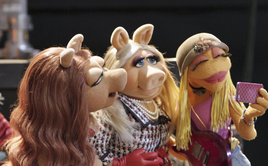 Kermit and Piggy Are NOT Together Right Now