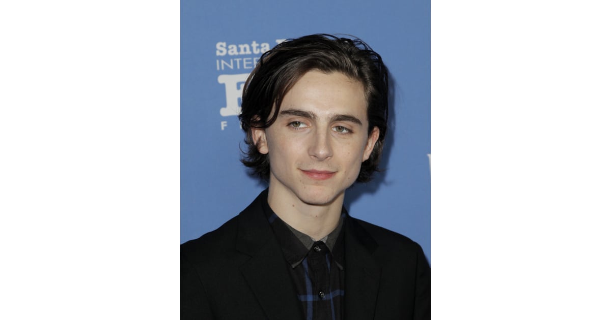 timothée chalamet funko pop