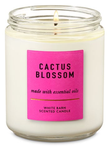Bath & Body Works White Barn Cactus Blossom 3-wick Candle, Scented Candles