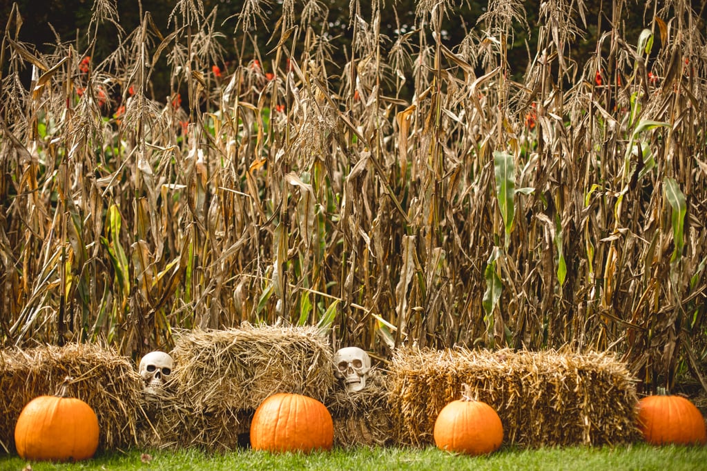 Halloween DIY Backyard Wedding Ideas