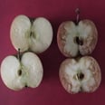 Teacher Uses 2 Apples to Help Her Students Truly Comprehend the Consequences of Bullying