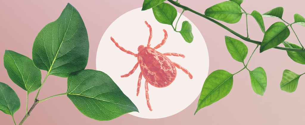 What Is Chronic Lyme?