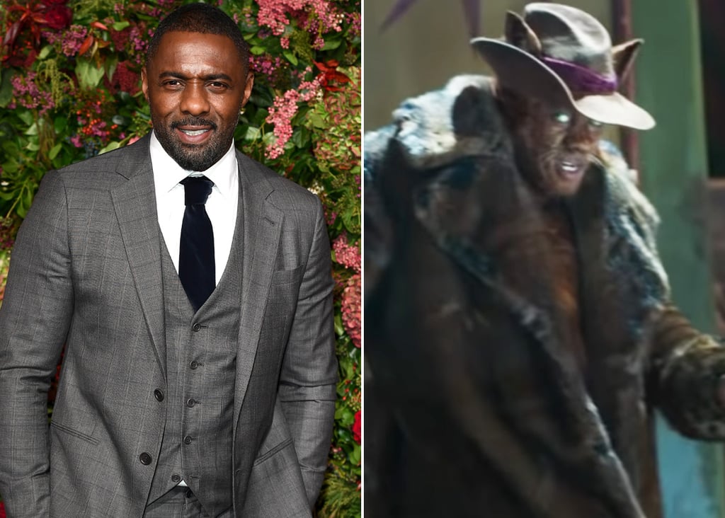 Idris Elba as Macavity