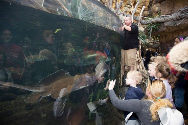 National Aquarium — Baltimore