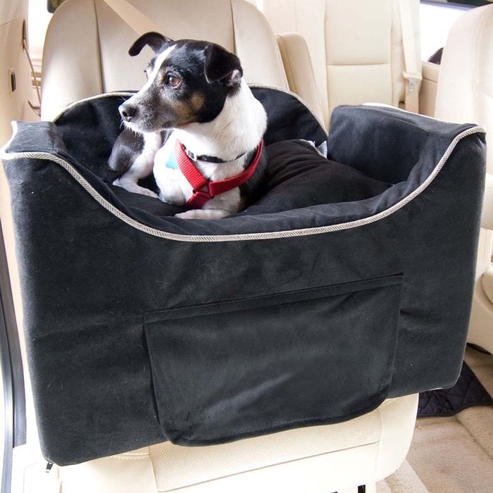 Portable Dog Water Bottle >> What to Bring on a Road Trip With Pets | POPSUGAR Pets Portable Dog Water Bottle >> What to Bring on a Road Trip With Pets | POPSUGAR Pets