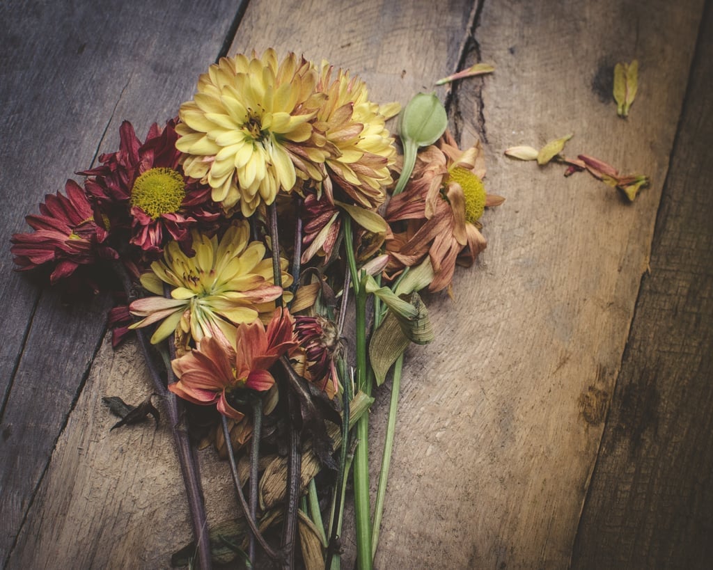 dried flowers for living room