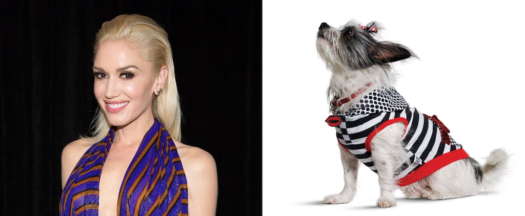 Gwen Stefani Harajuku Lovers Dog Clothes For Petco
