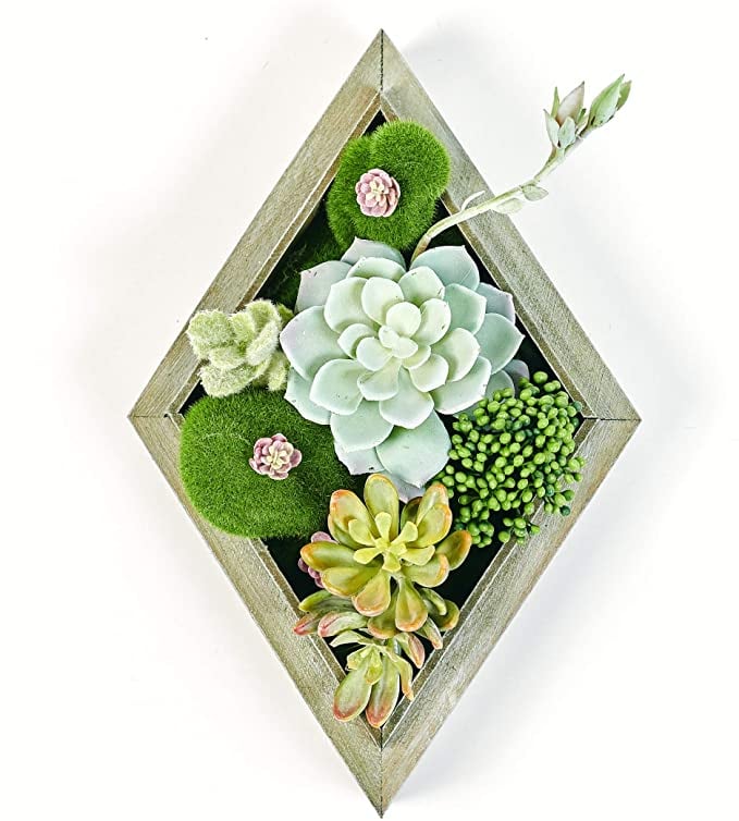 For the Wall: Room & Bloom Artificial Succulent Wall Hanger