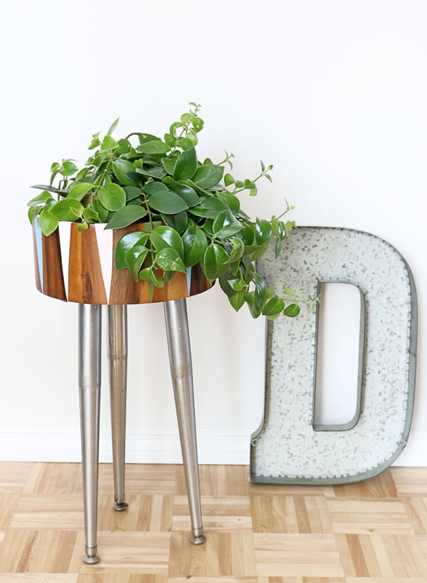 Modern Salad Bowl Planter