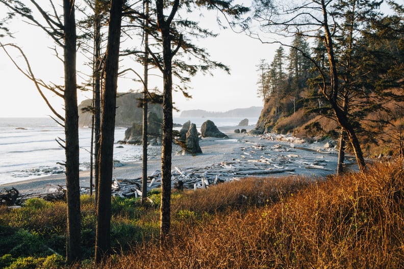 Olympic National Park