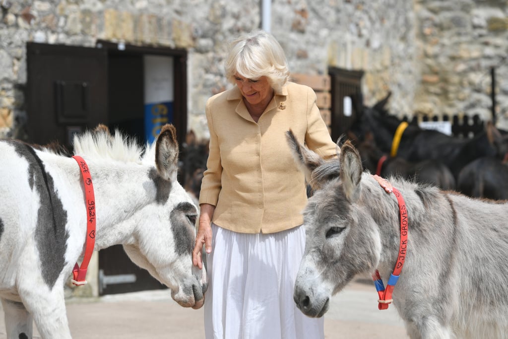 Camilla Parker Bowles Birthday Photos 2019