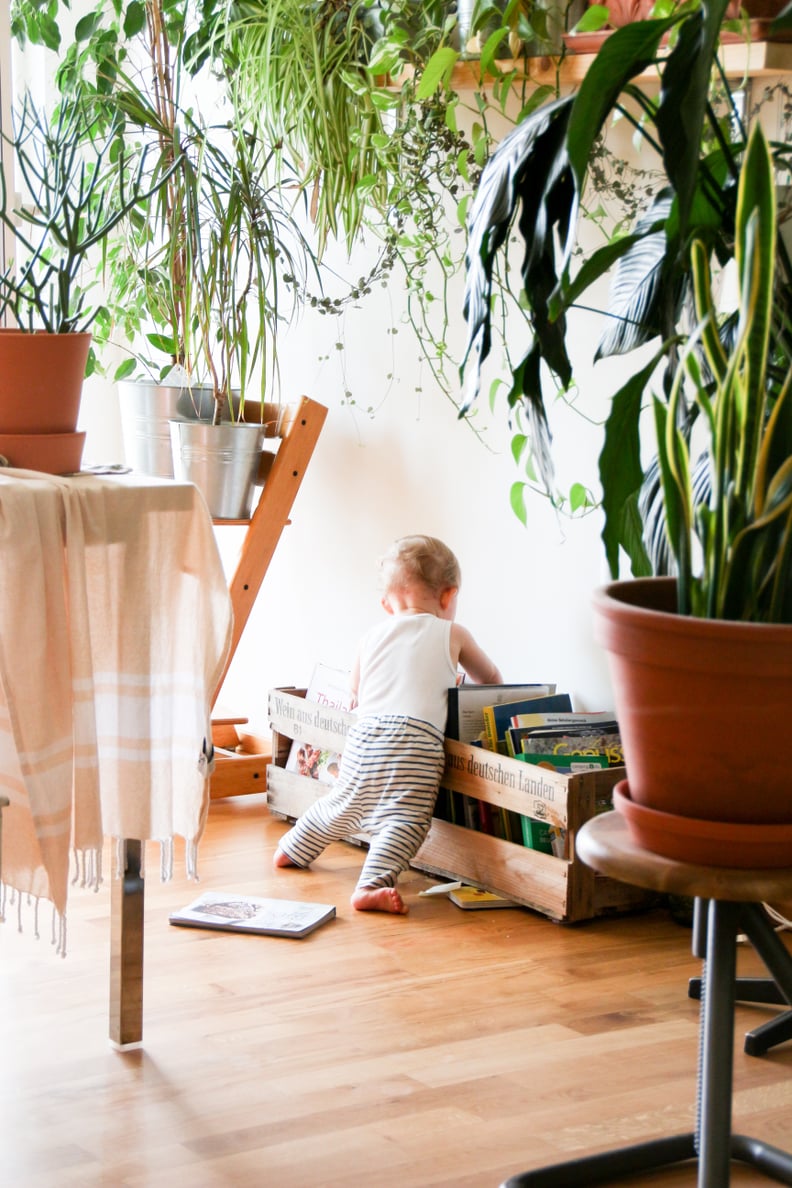 Set up their personal library.