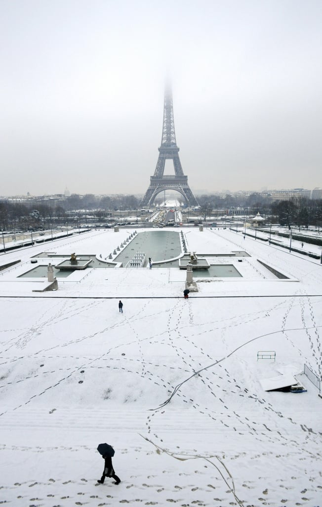 Eiffel Tower Pictures