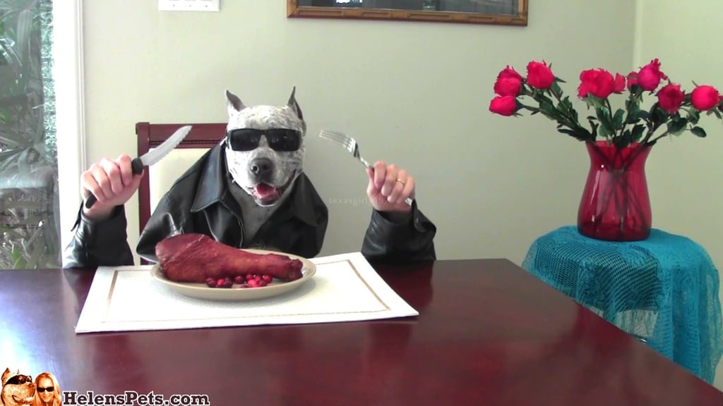 This badass Pit Bull gobbling an oversize turkey leg.