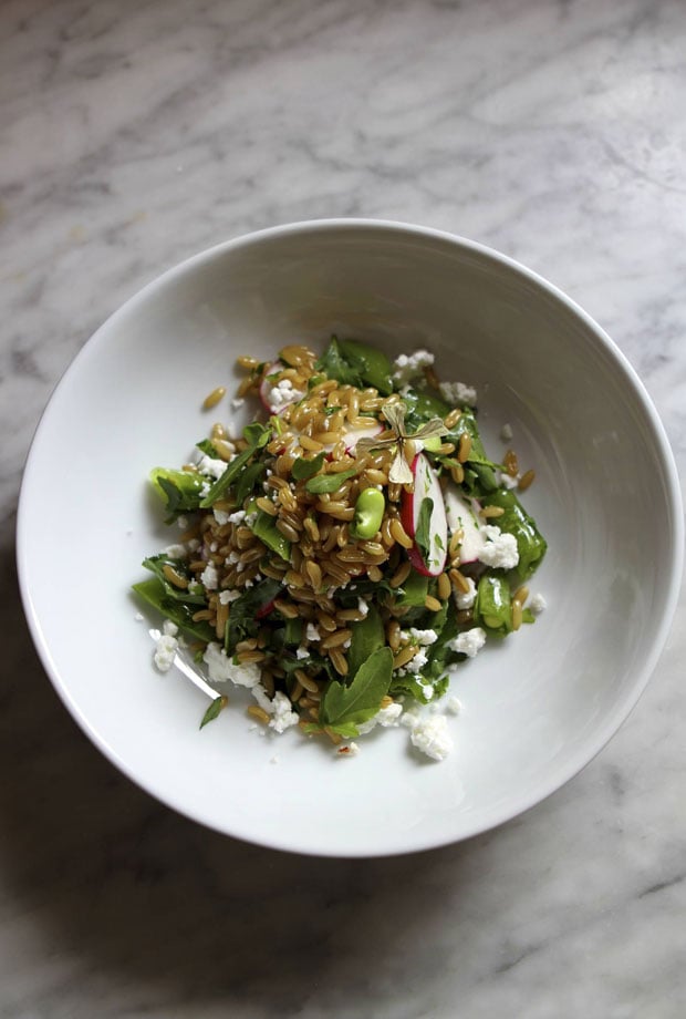 Farro Salad With Fava Beans and Feta