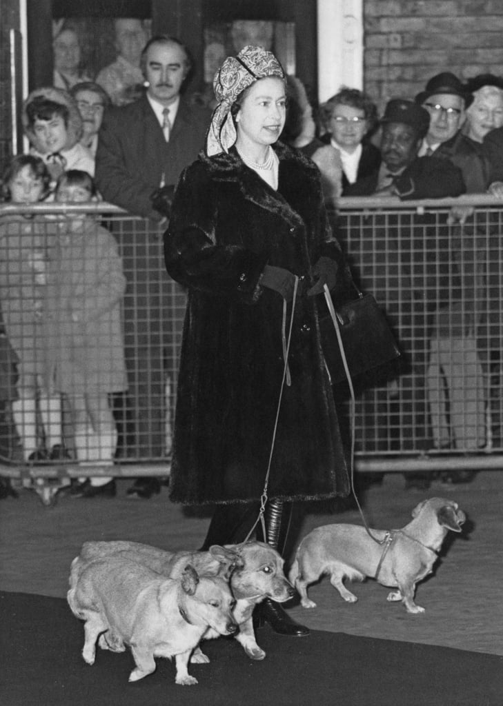 Why Did Queen Elizabeth Have So Many Corgis?