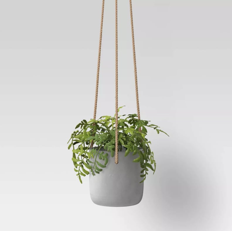 Project 62 Concrete Hanging Planter