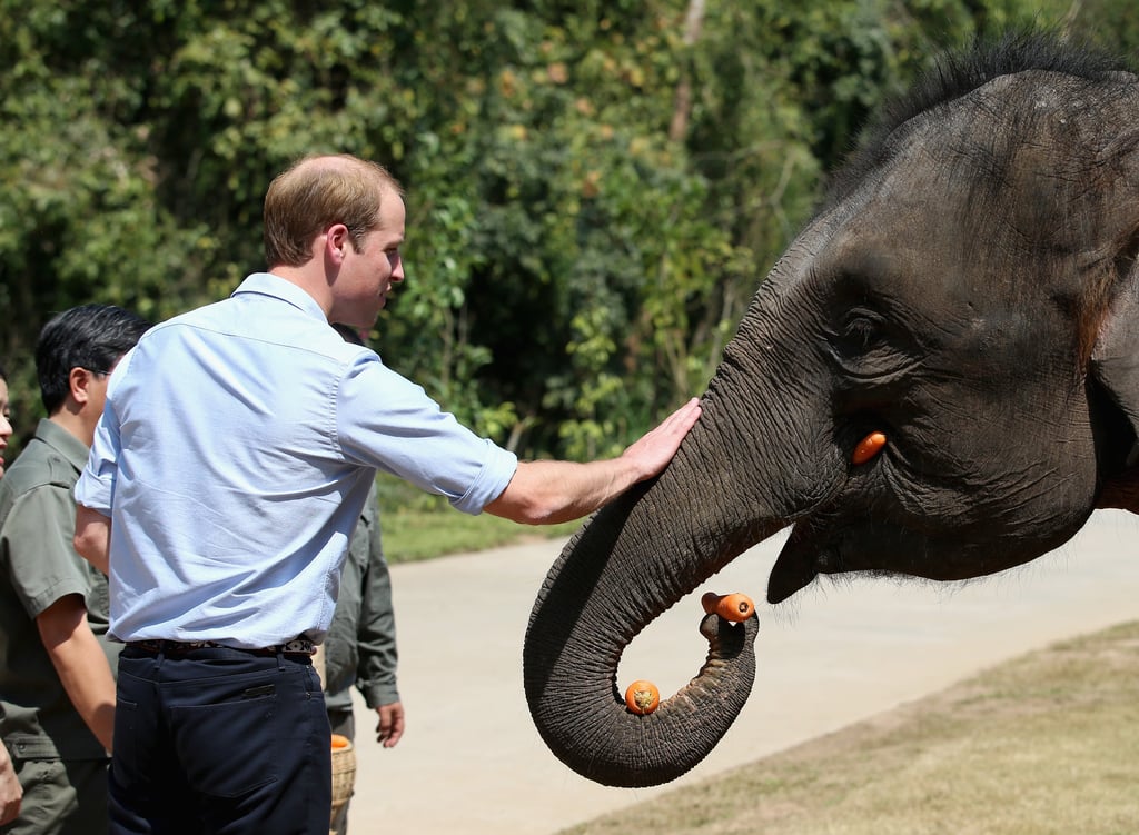 When William Got Up Close and Personal With an Elephant in China