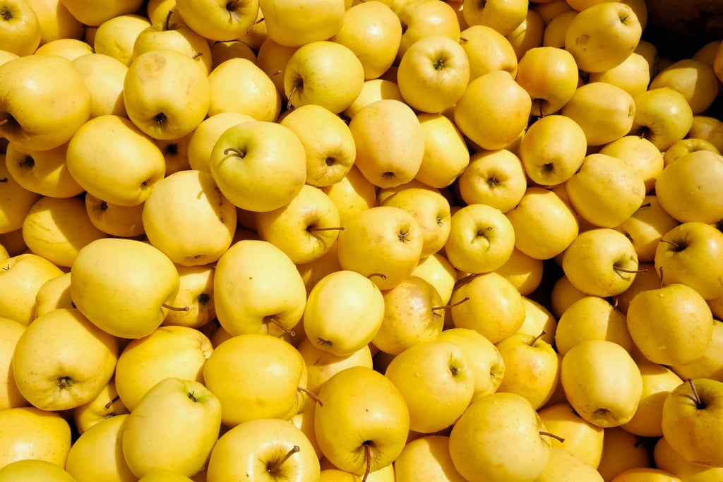 Opal Apple Best First Foods to Introduce Your Baby to Solids