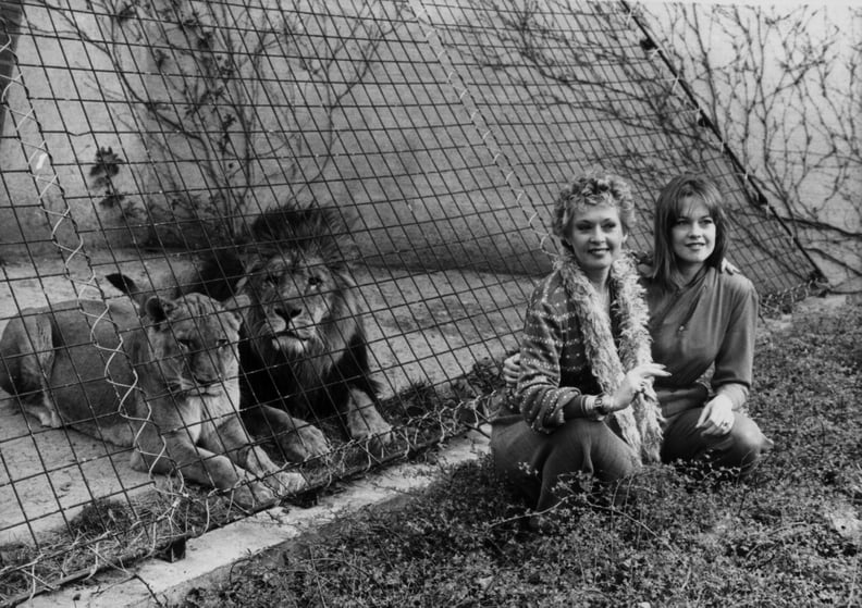Melanie Griffith and Her Lion