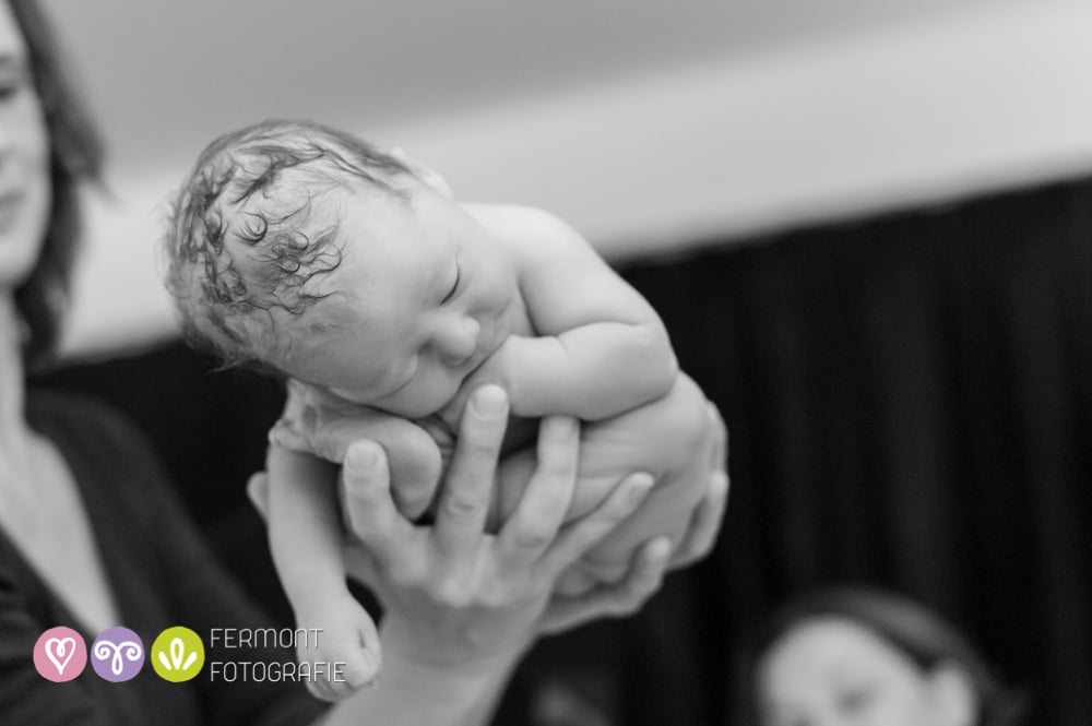 Photos of How Babies Fit Inside of Womb