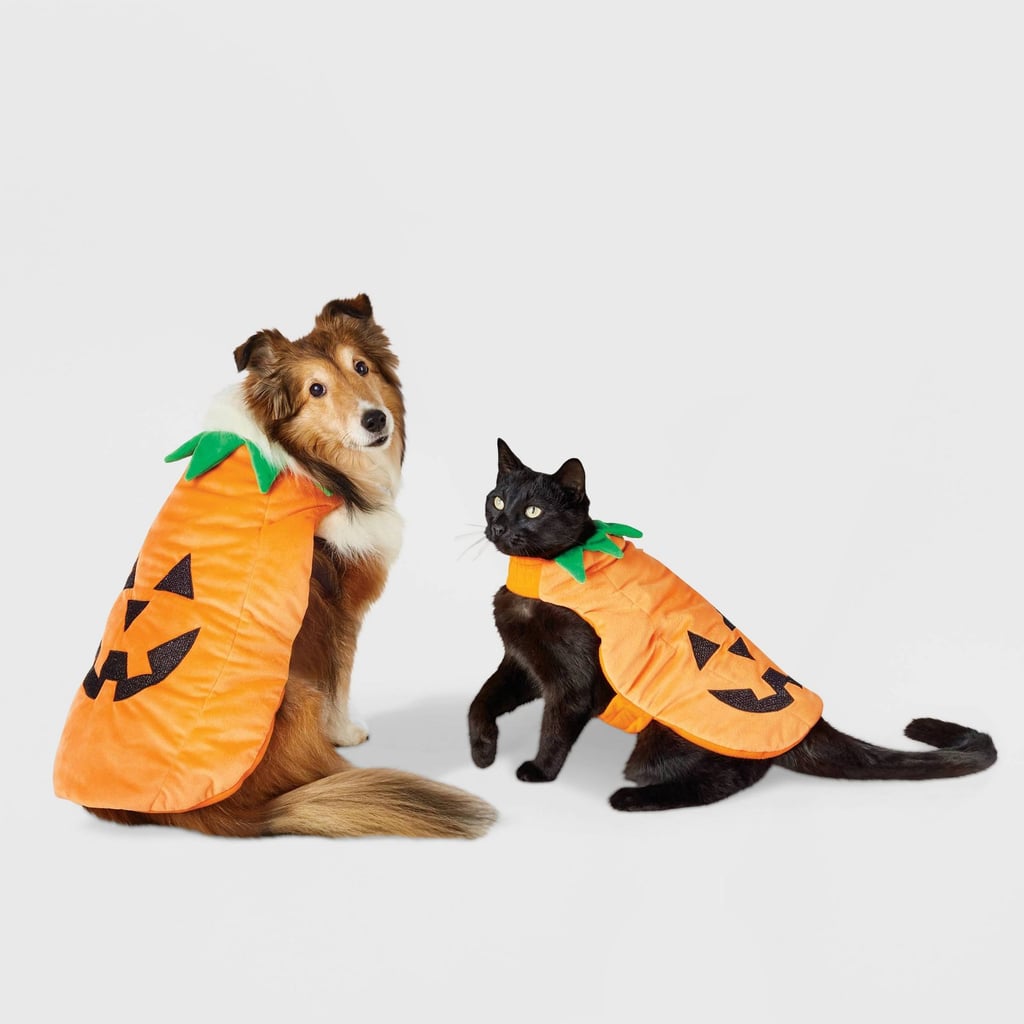 A Timeless Jack-O-Lantern: Hyde & EEK! Boutique Pumpkin Full Body Dog and Cat Costume
