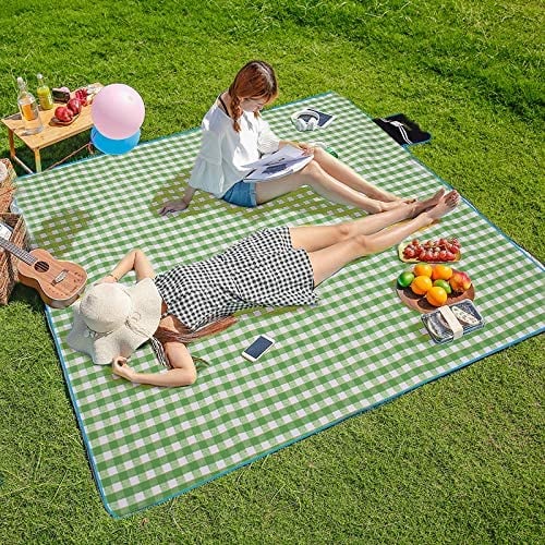 Three Donkeys Picnic Blanket