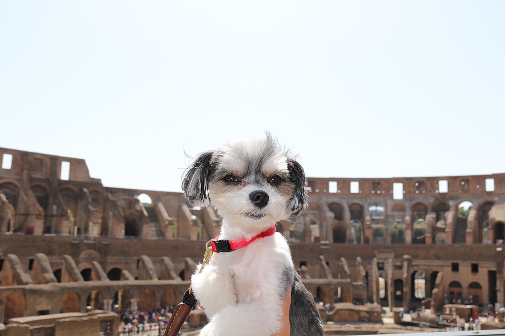 Then I went to the Colosseum . . .