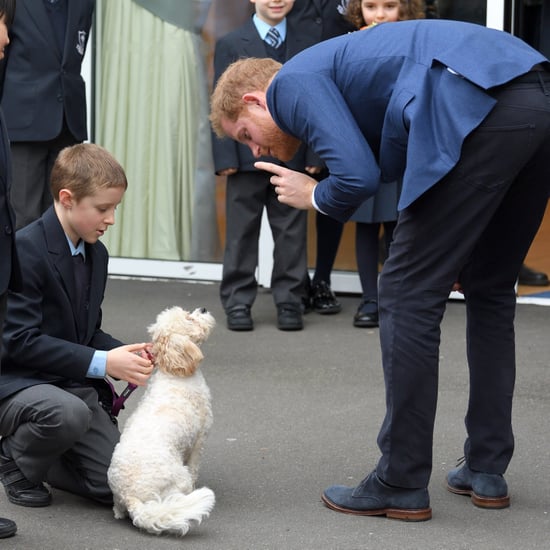 Prince Harry at St. Vincent's Catholic Primary School 2019