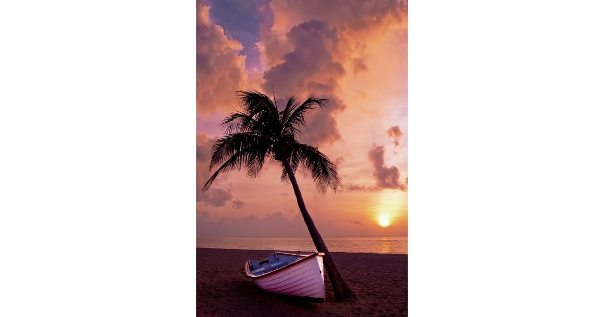 Tropical Pastel iPhone Wallpaper  Best iOS  14  Wallpaper  