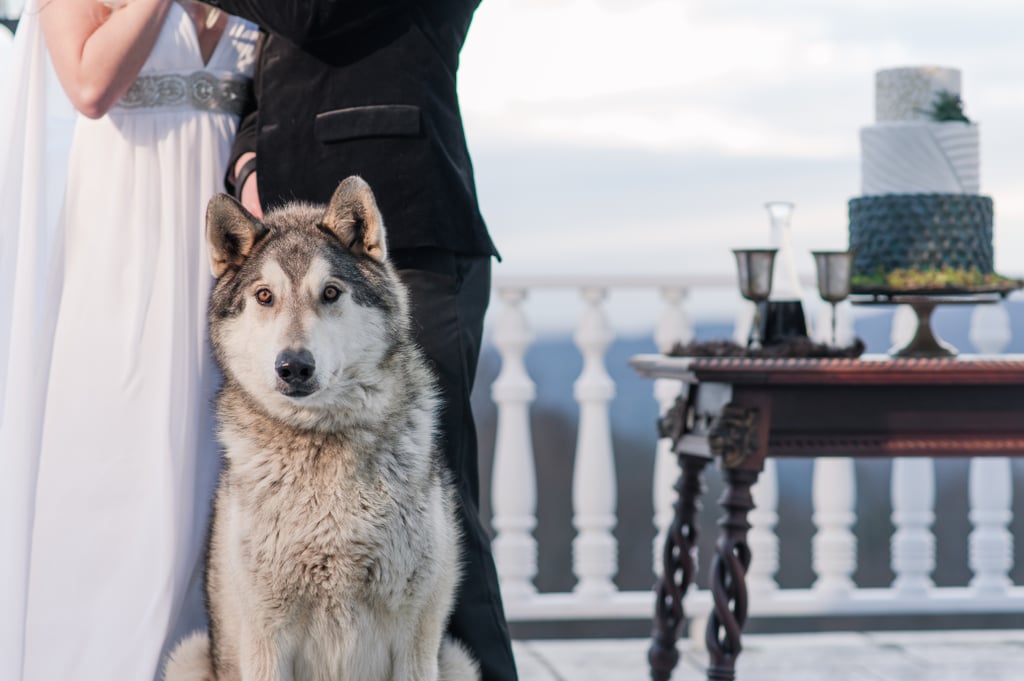 Elegant Game of Thrones Styled Wedding Elegant Game of Thrones Styled Wedding