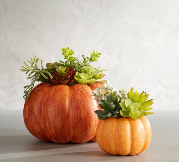 Fake Pumpkins Popsugar Home