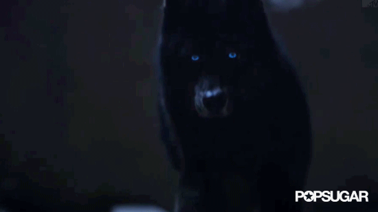 And Then the Wolf Tackles Kate, and You're Like, "She's Going Down. I'm Yelling Timber."