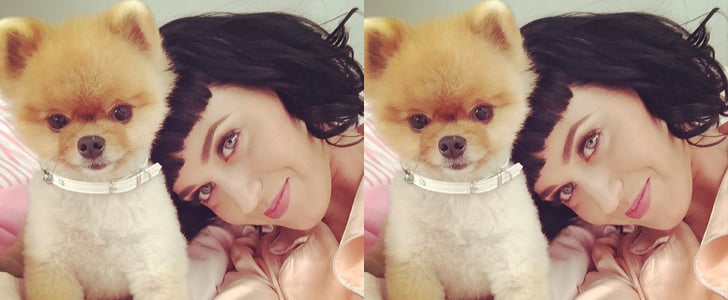 Katy Perry Bob Haircut 2014