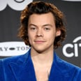 Harry Styles Joins the Cast of Olivia Wilde's Don't Worry, Darling — See Who Else Is on Board