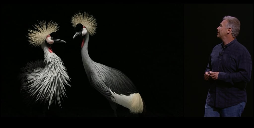 We predict some gorgeous new "Taken on an iPhone" billboards in the near future!