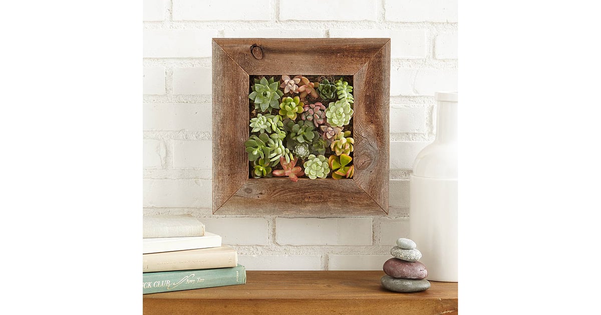 20 Spectacular Succulent Living Wall Planter Home, Family, Style and