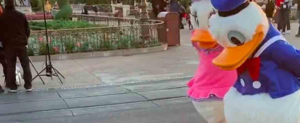 Donald and Daisy Duck Meet Real Ducks at Disney